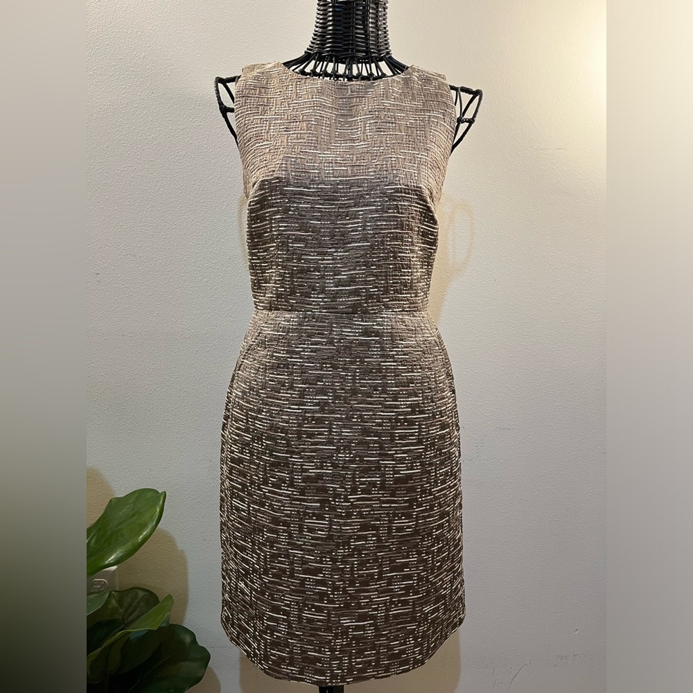 Banana Republic Textured Brown Midi Dress